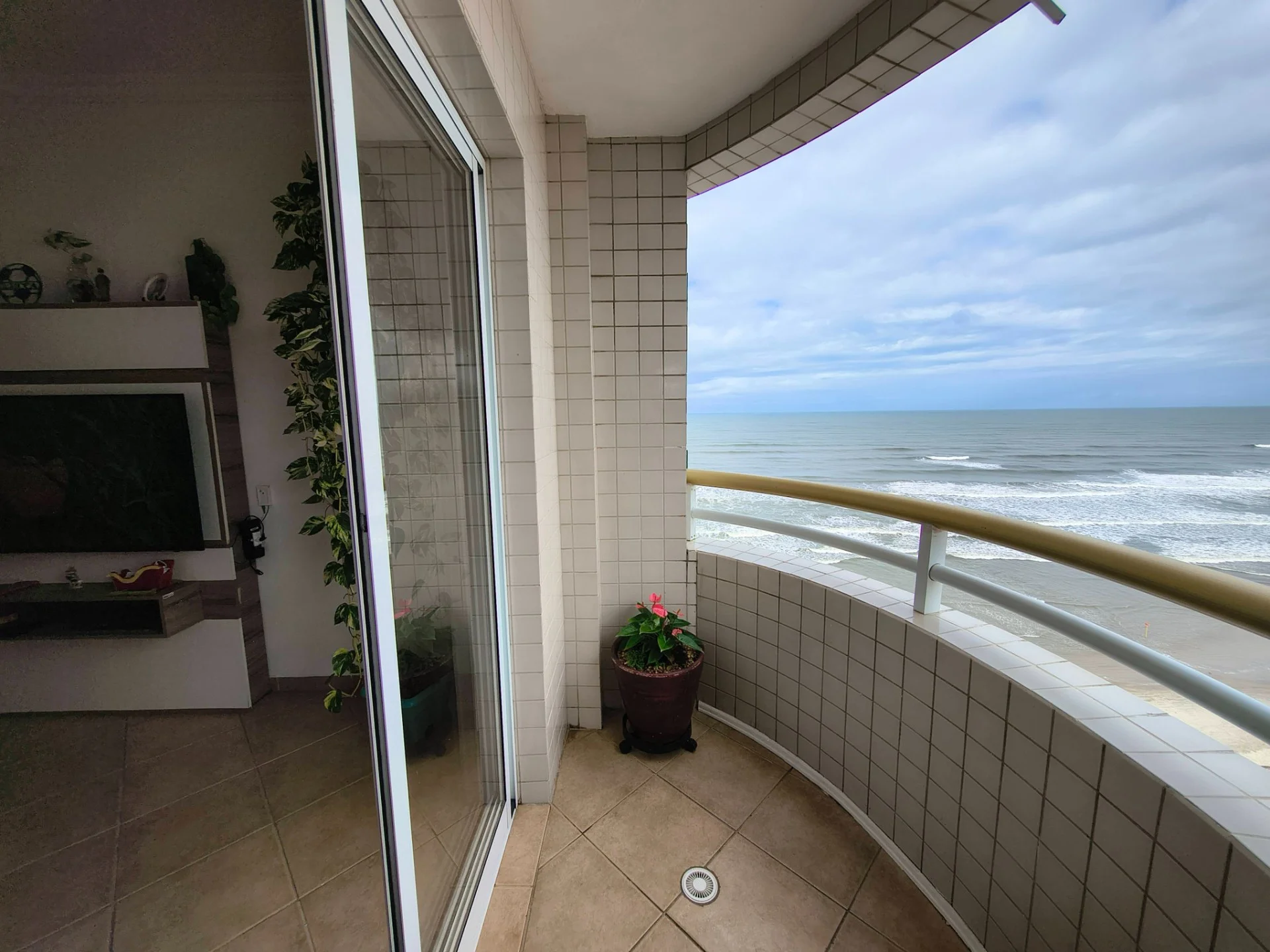 IMG_20260528_104230648_HDR.jpg