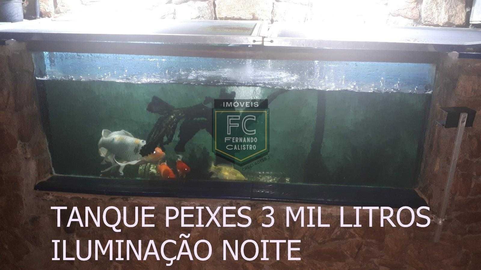 a061bf3cc438f66abdcdf0b98391694a.jpg